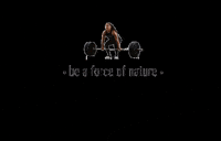 Be A Force Of Nature Train GIF by Training All Elements