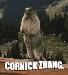 deltythe73rd giphygifmaker GIF