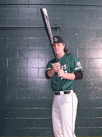 Baseball GIF by Bemidji State Beavers