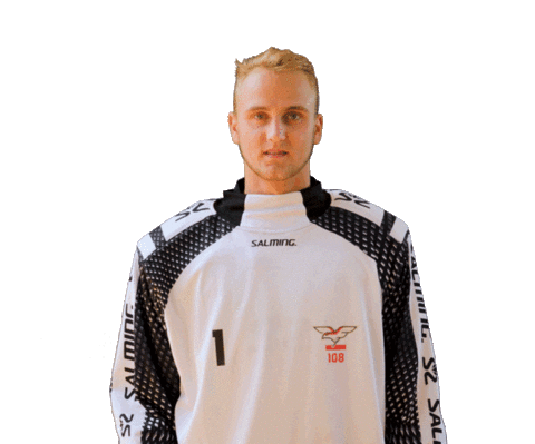 Floorball Hales Sticker by Český florbal