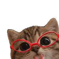 Cat Licking Sticker