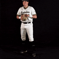 Baseball Throw GIF by Purdue Fort Wayne Athletics