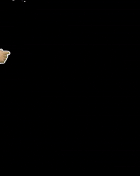 Party Rugby GIF by Exeter Chiefs