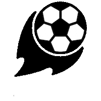 Football Soccer Sticker