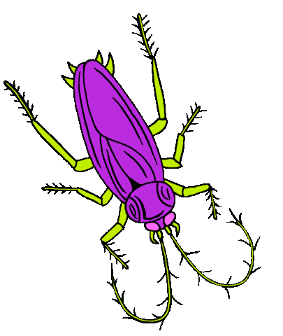 eatrotten bug cockroach roach eatrotten Sticker