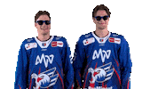 Eishockey Sticker by Adler Mannheim