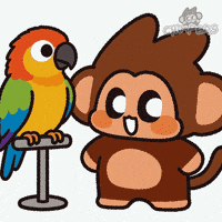 Bird Omg GIF by Chimpers