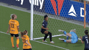 Happy Lets Go GIF by National Women's Soccer League
