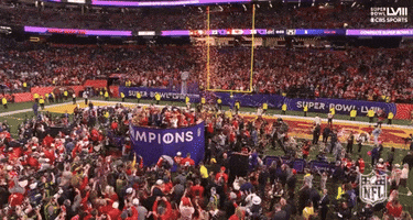 Super Bowl Sport GIF by NFL