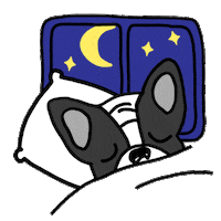 Happy Sweet Dreams Sticker by Ivo Adventures