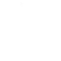 berenicedesigns branding graphic designer brand designer berenice Sticker