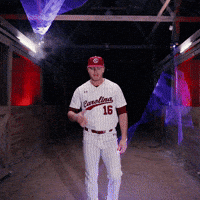 Home Run Celebration GIF by Gamecock Athletics