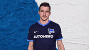 Football Soccer GIF by Hertha BSC