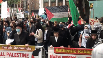 Large Crowd of Pro-Palestine Protesters March in New York City