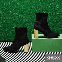 GIF by Payot