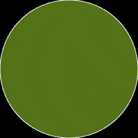 tierheimpeine tierschutz peine tierheim tierschutzverein GIF