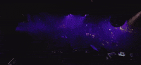 ibiza heatwave GIF