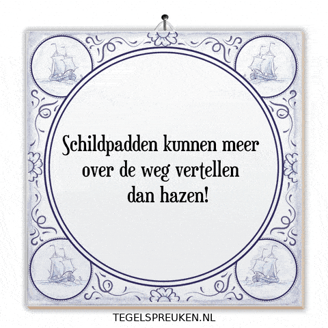 Humor Nl GIF by Tegelspreuken.nl