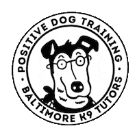 R Baltimore Sticker by Bastian the Talking Terrier