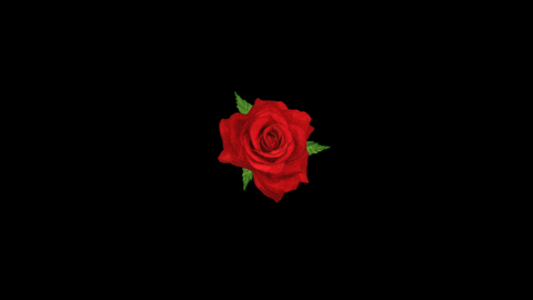 jhetipiee giphyupload jhetipiees flowers artsyjhet GIF