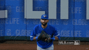 Dust Off Blue Jays GIF by MLB