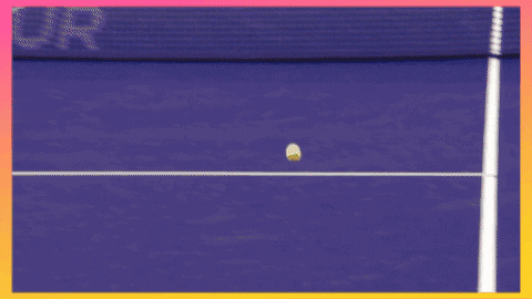 joeweinberg giphygifmaker GIF