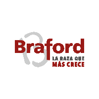 Braford Sticker by ABA