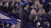 roberto martinez celebration GIF by Wigan Athletic