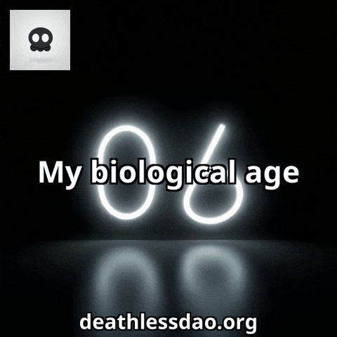 Humor Glow GIF by deathlessdao