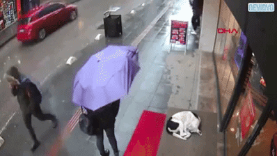 cuteanimalland giphyupload GIF