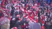 Football Sport GIF by FC Spartak Moscow