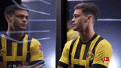 Dortmund GIF by Bundesliga