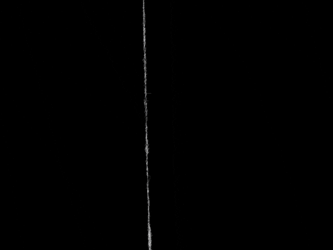 barrrrbarra giphyupload art netart rotoscopy GIF