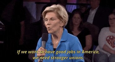 Elizabeth Warren Msnbc GIF