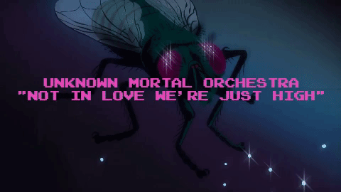 unknown mortal orchestra GIF