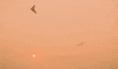 Film Sunset GIF