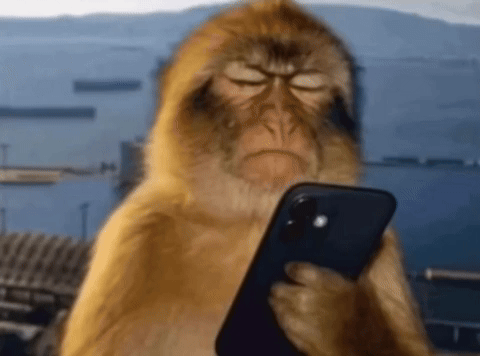 kacperfilip giphyattribution GIF