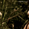 Texas Chainsaw Massacre Film GIF by Arrow Video