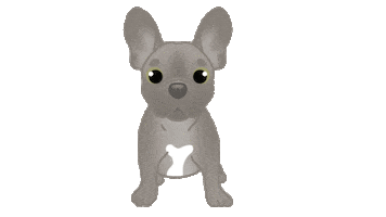 French Bulldog Sticker by zoopeez