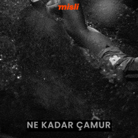 Galatasaray Tammyabraham GIF by Misli