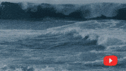 GIF by Awakening Events