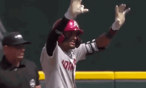 Baseball Champions GIF by NCAA Championships