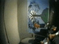 Seed GIF by Sublime