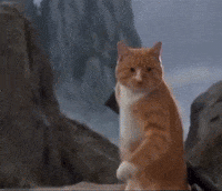 Shooting Chinese GIF