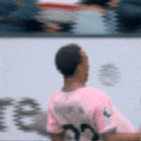 Happy Premier League GIF by AFC Bournemouth