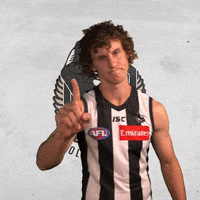 collingwoodfc pies collingwood magpies collingwoodfc GIF