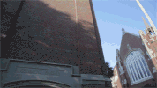 GIF by University of Florida