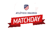 Football Sport Sticker by Atlético de Madrid