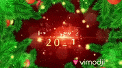 GIF by Vimodji