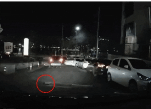 jyujin giphyupload GIF